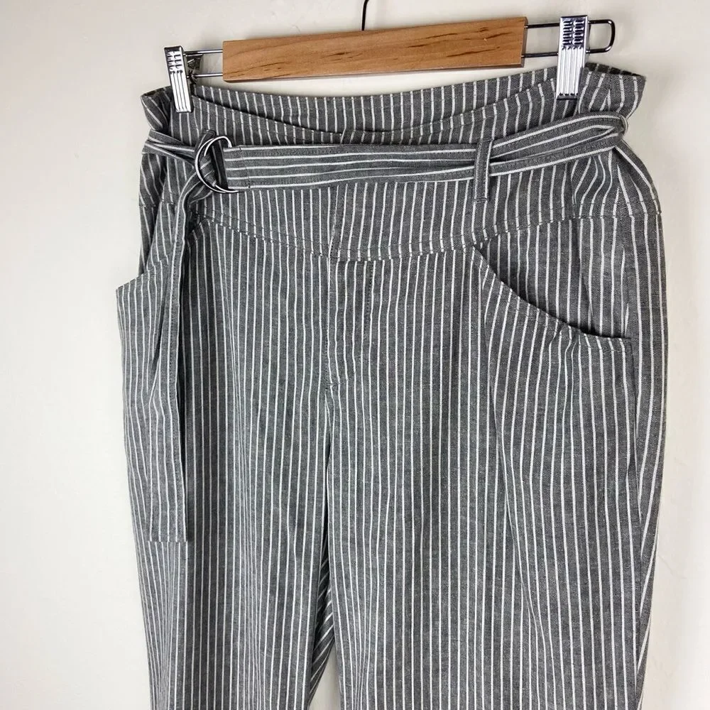 Sundance Rory Striped Belted Linen Pants - Gray & White